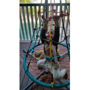 100cm Birds Nest Swing with Stand