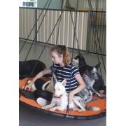 150cm Orange Mat Nest Swing