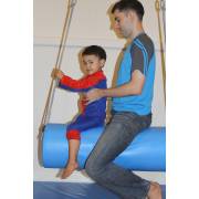 Blue Bolster Swing