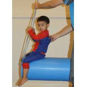 Blue Bolster Swing
