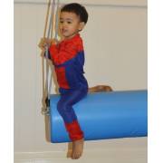 Blue Bolster Swing