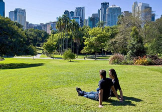 Brisbane Hammocks