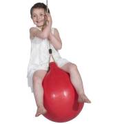 Heavy Duty Buey Ball Swing