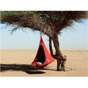 Red Cacoon single hung from a tree in the desert