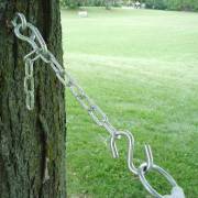 Hook bolt screwed into a tree with the chain and S-hook hanging from it
