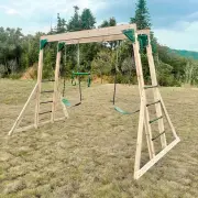 Monkey bar and swing set on grass, seen from the front