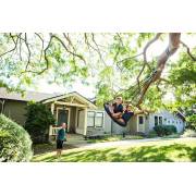 Swing Tree Straps: Pair