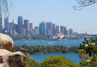 Sydney Hammocks