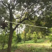 Flying fox cable and spring brake fixed to a tree